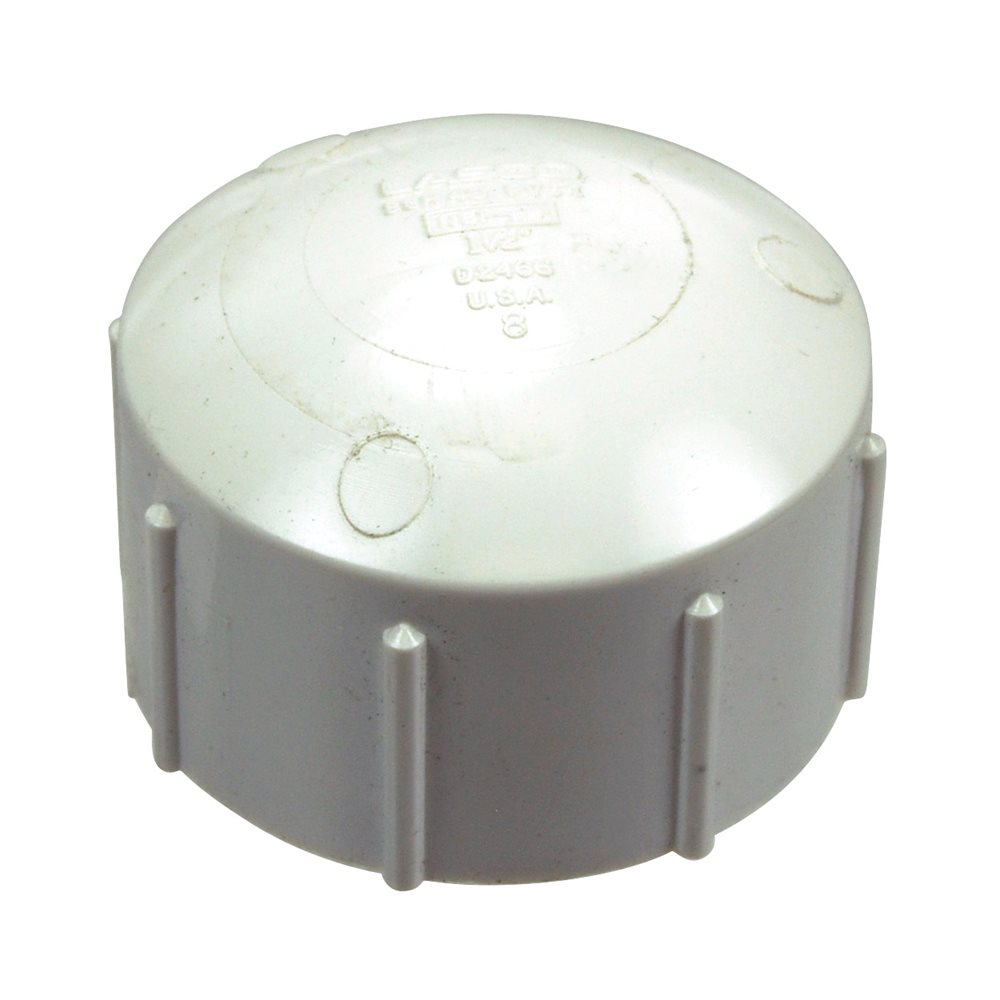 Pentair Parts 154871 Threaded Cap, 1-1 / 2 in.