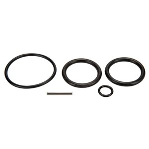 Pentair Parts 263054 O-Ring Kit for Slide Valve