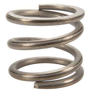 Pentair Parts 271161 Valve Spring