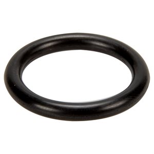 Pentair 191479 O-Ring for Valve Stem