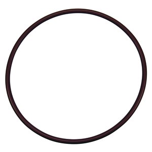 Pentair Parts, R172240 O-Ring, Lid to Housing