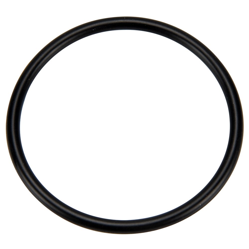 Pentair 273062 O-Ring