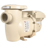 Pentair IntelliFlo3 VSF Pump, #011075, 3 THP