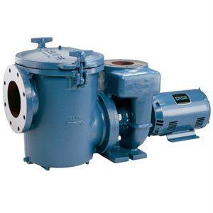 Sta-Rite CCSP Series Cast Iron Self-Priming Pump, 10 HP, 1 Phase, CCSPHL-143