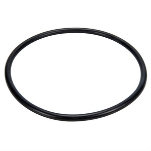 Hayward Parts SPX3200S O-Ring for Strainer Cover