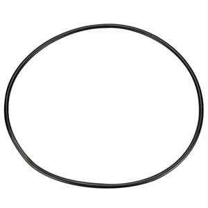 Pentair U9-228AZ Seal Plate O-Ring, Round