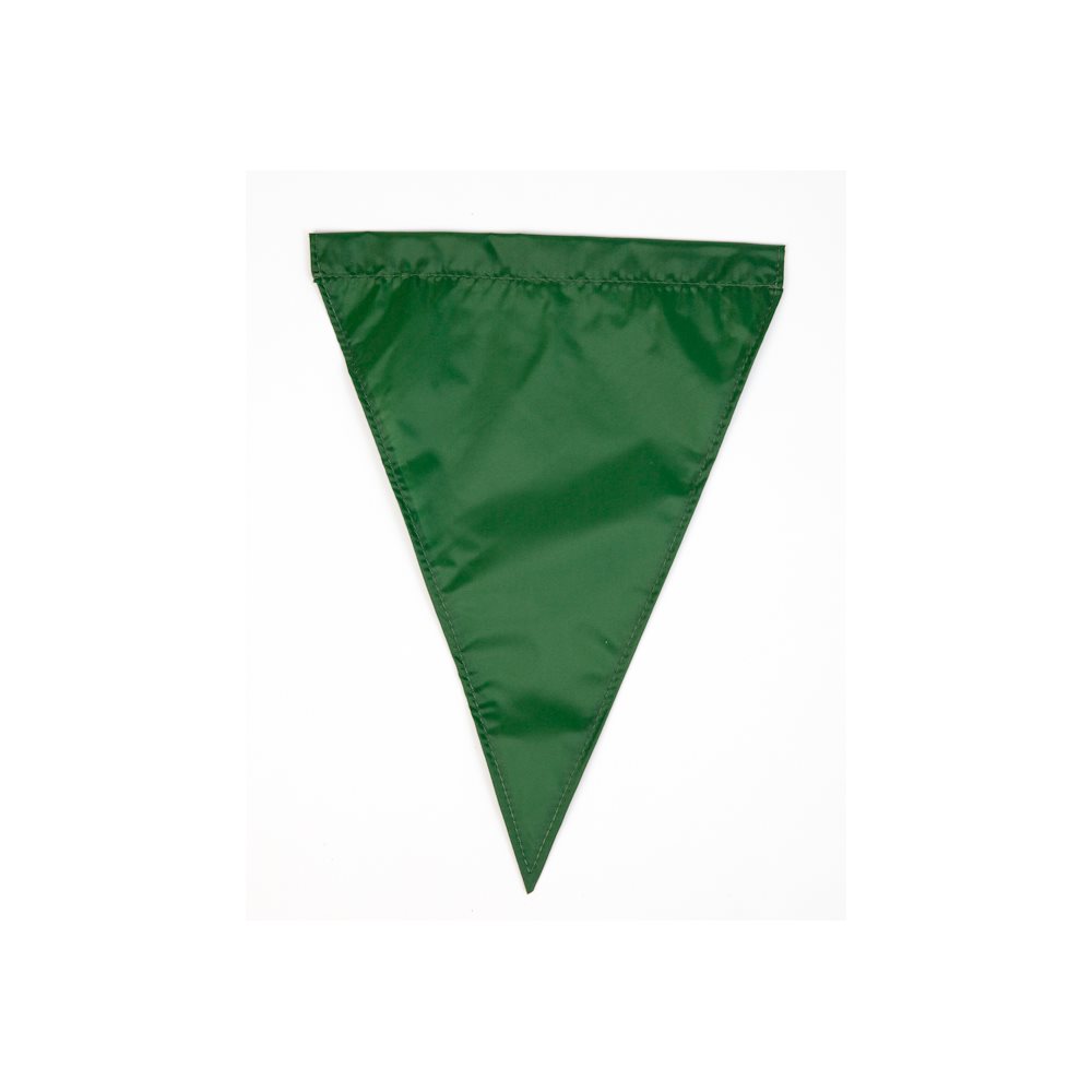 Competitor Backstroke Flag, 11 inch x 14.5 inch, Green