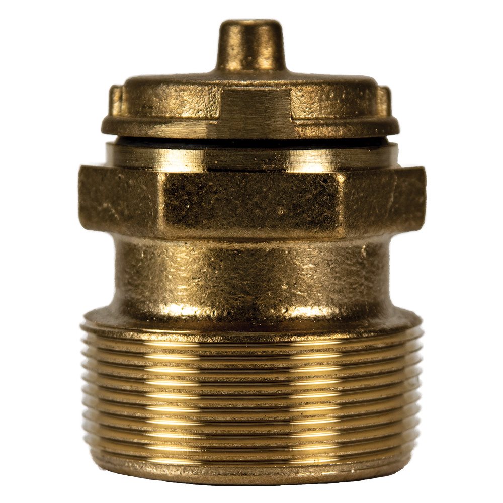 Bronze Hydrostatic Relief Valve 2"